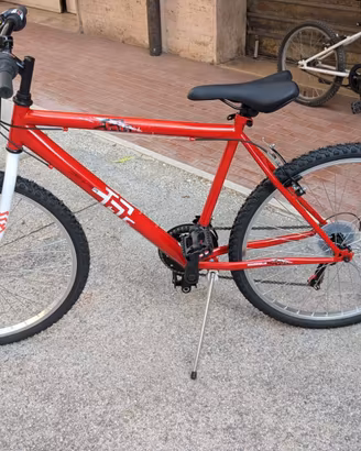 MTB 26 POLLICI