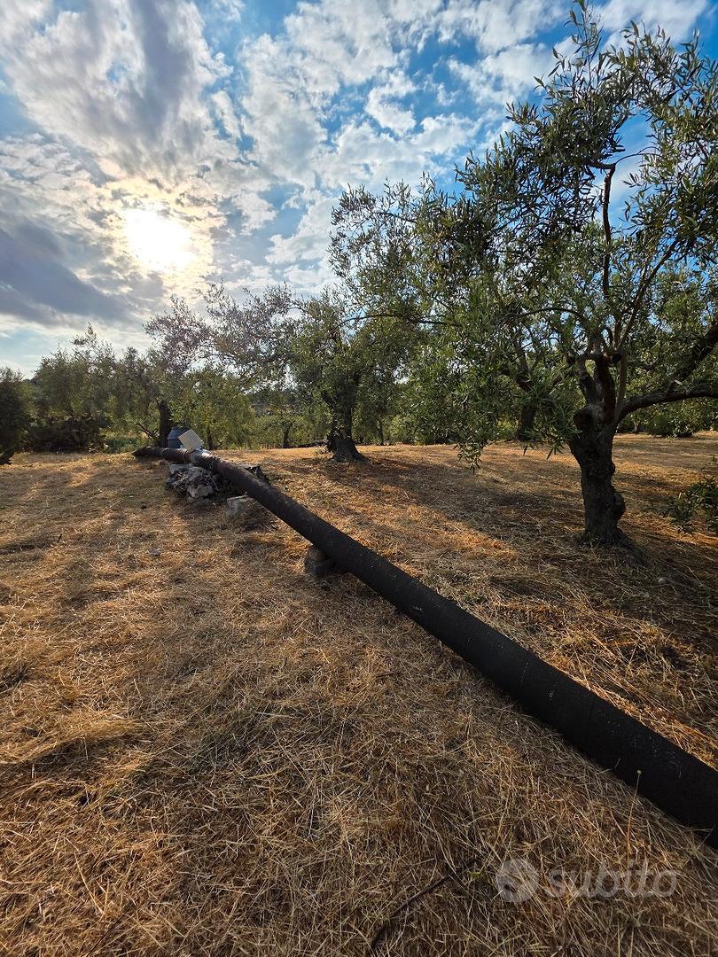 terreno agricolo tutto pianeggiante 4000 metri - Vista 5