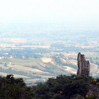 Terreni boschivi e coltivabili