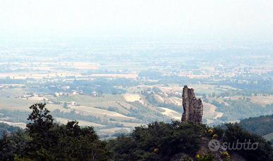 Terreni boschivi e coltivabili