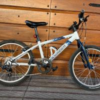 Bicicletta da bambino