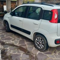 Fiato Panda