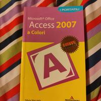 Acces 2007 di Silvia Vaccaro.