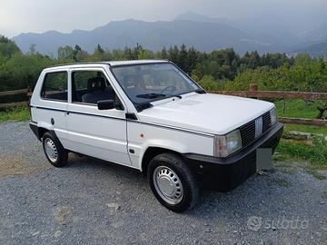 Fiat PANDA young