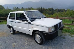 Fiat PANDA young