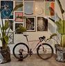 bicicletta-gravel-cinelli-nemo-tig-rosa-tg-m