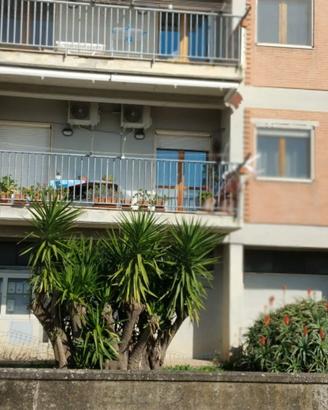 Quadrilocale con terrazzo e box