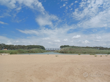 Selinunte terreno 25.000 mq contrada belice mare