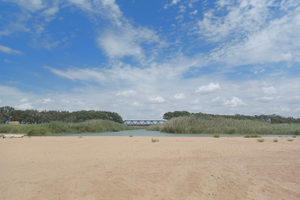 Selinunte terreno 25.000 mq contrada belice mare