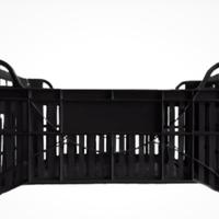 Cassette campagna olive arance frutta resistenti