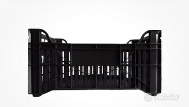 Cassette campagna olive arance frutta resistenti