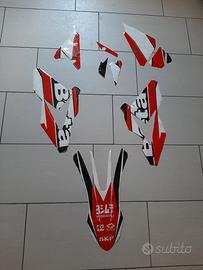 Grafiche, portatarga/stop Beta RR 250 300
