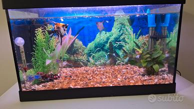 acquario completo 
