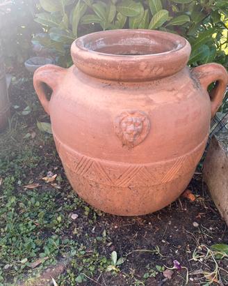 Orcio Toscano in terracotta