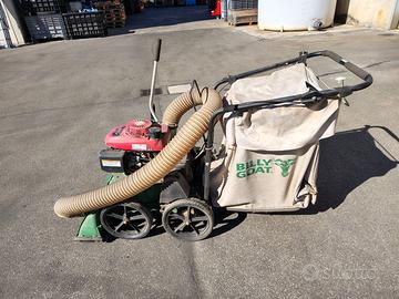 aspiratore da giardino