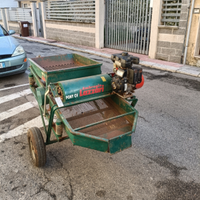 Vendita pulisci olive