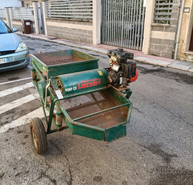 Vendita pulisci olive