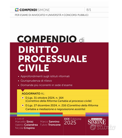 Compendio di procedura civile 2025 edizione Simone