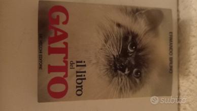il libro del gatto 