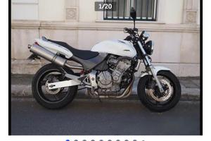 Honda Hornet