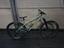 Immagine 1