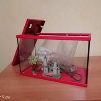 acquario