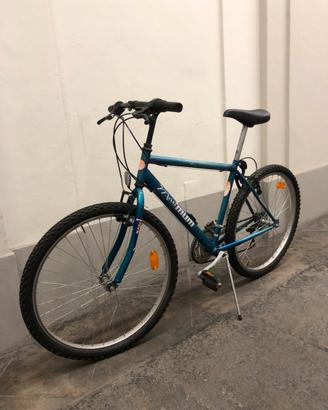 Bici da uomo