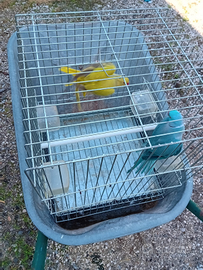 Alessandrina e Oppalina cinamo