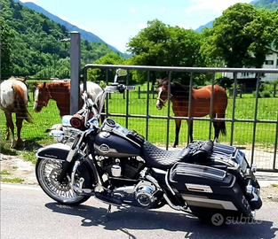 Harley davidson road king flhr