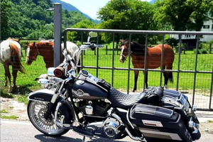 Harley davidson road king flhr