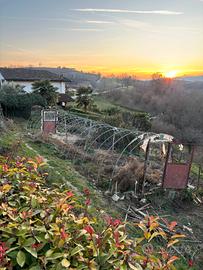 struttura per serra con porte 