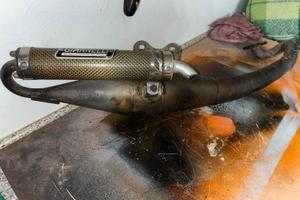 Marmitta Giannelli Reverse