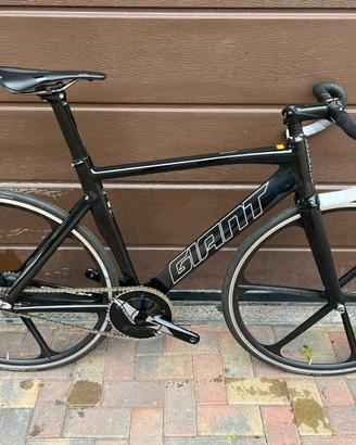 Giant Omnium taglia 54