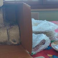 Set da 6 di tazzine da caffè con piattino.