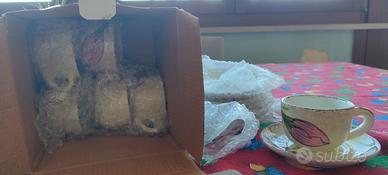 Set da 6 di tazzine da caffè con piattino.