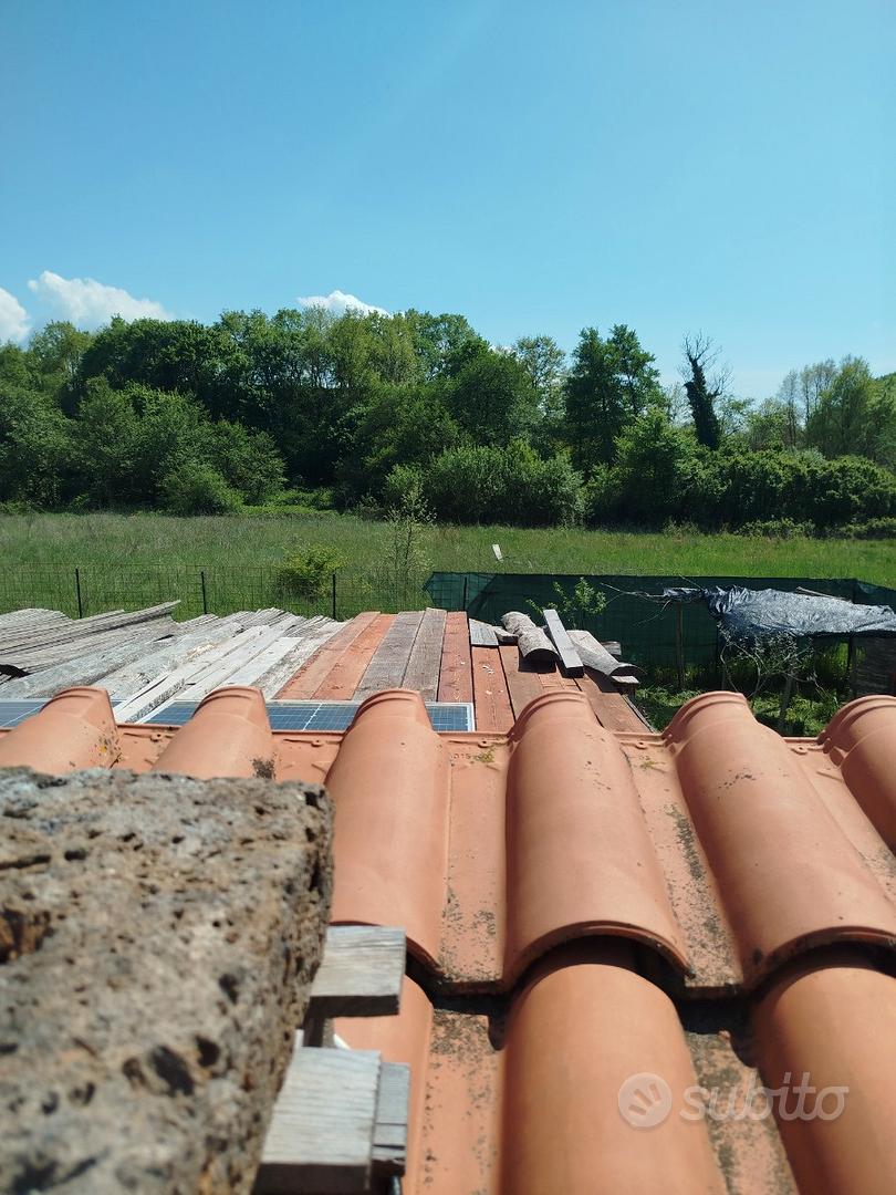 Terreno con magazzini a Nepi - Vista 4