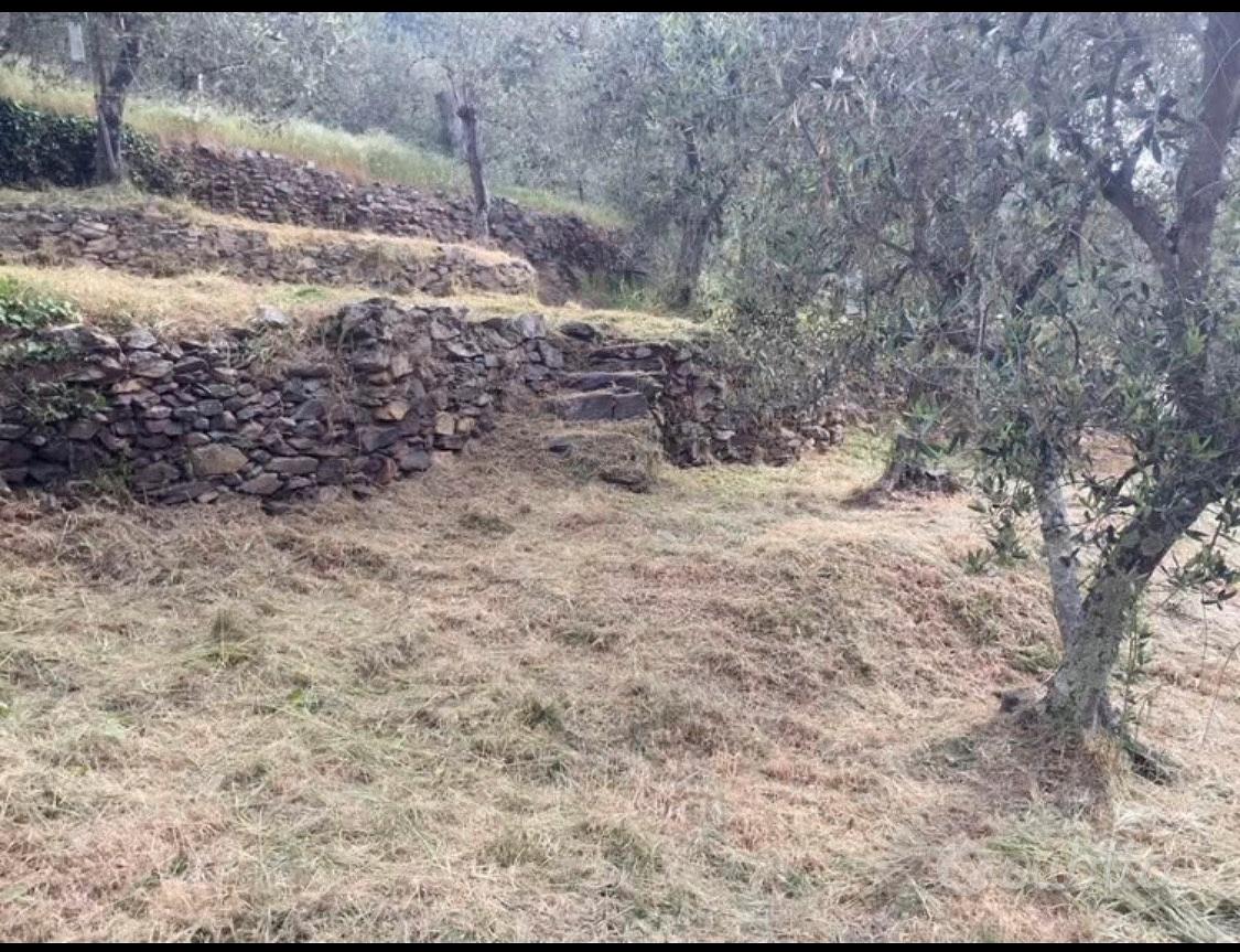 Terreno ad Oliveta vista panoramica - Vista 2