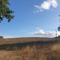 Seminativo a Lugnano in Teverina