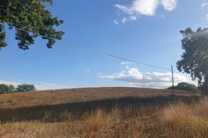 Seminativo a Lugnano in Teverina