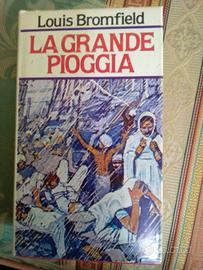 La grande pioggia