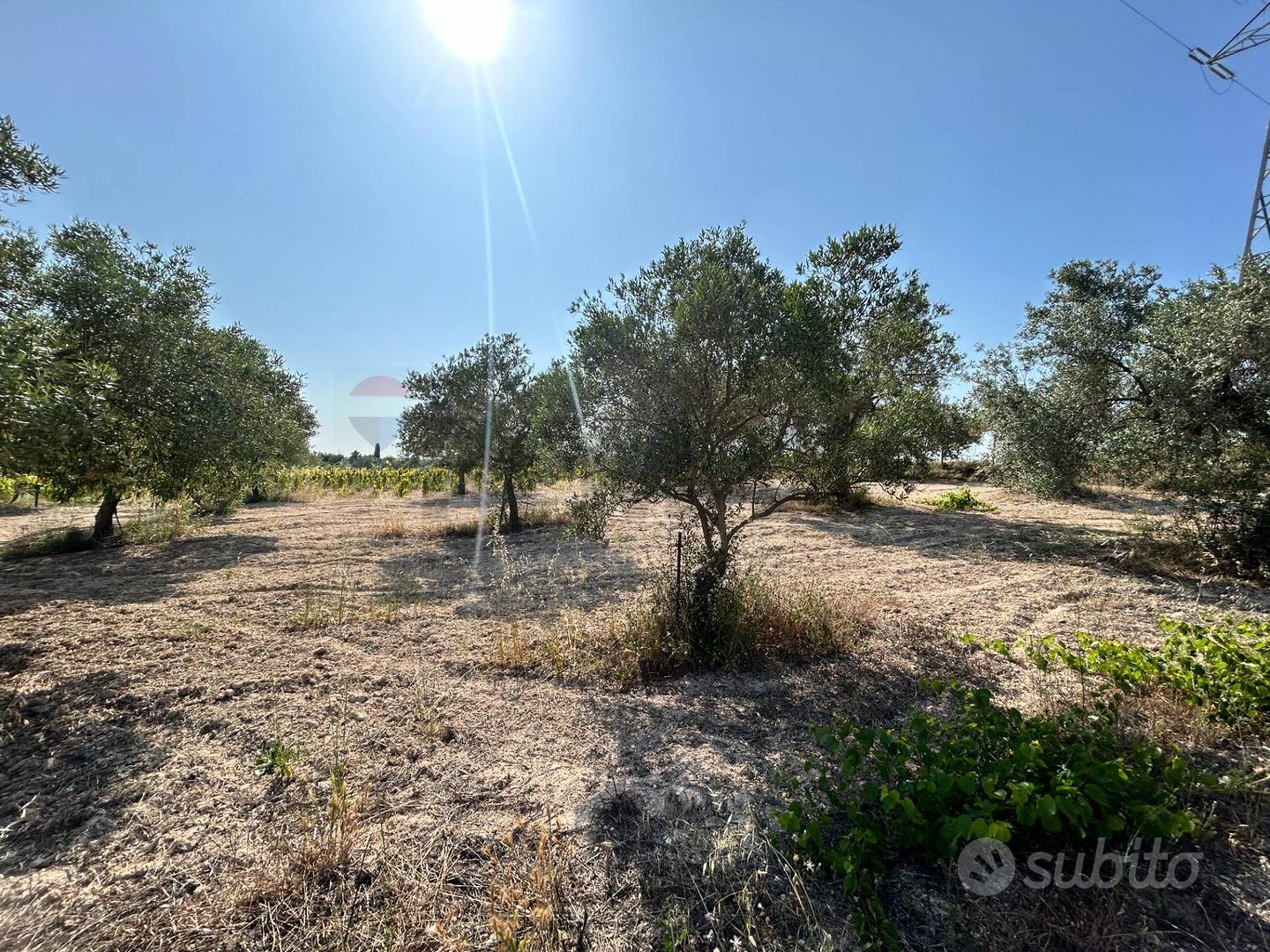 Terreno - Noto - Vista 4