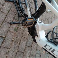 E-bike Olympia 900 performer sport