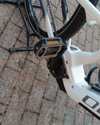 E-bike Olympia 900 performer sport
