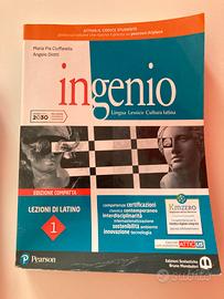 Ingenio 1