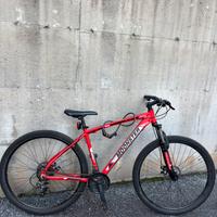 Mountain bike