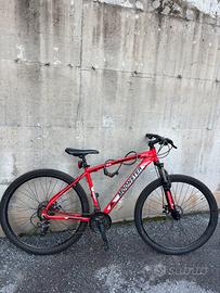 Mountain bike