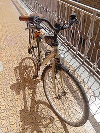 bici da passeggio 