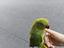 Immagine 5