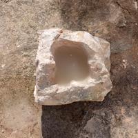 bellezza per giardino 