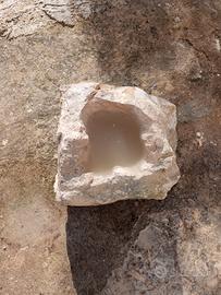 bellezza per giardino 